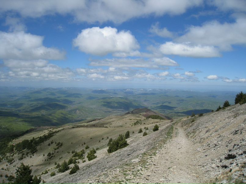 Дмитрий Сербул фотография #17