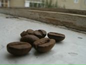 Фотография Мраморной Карины