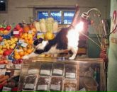 Валік Лісовий фотография #48 (источник - https://vk.com/id142981575)