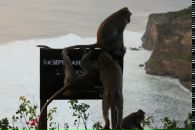 Динара Гафурова фотография #41 (источник - https://vk.com/id2706012)