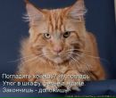 Фотография Герасимовой Веры