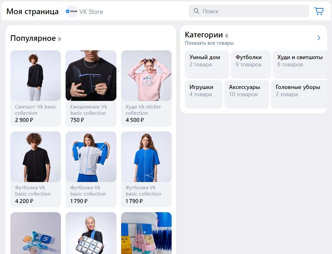 Example of the Shop app screen