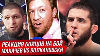 Бешеная Реакция Бойцов Конора, Хабиба на бой Махачев vs Волкановски