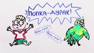 НаучПок Почему попугаи разговаривают — Научпок.mp4